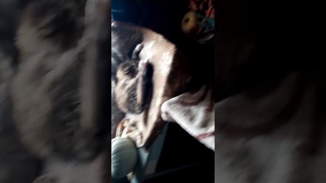 ПОНЕДЕЛЬНИК- ПРИВОЗ НАШИХ ЗАКАЗАННЫХ ПРОДУКТОВ.ДОБРЫЙ ВЕЧЕР!#тамараушакова #ольгаушакова