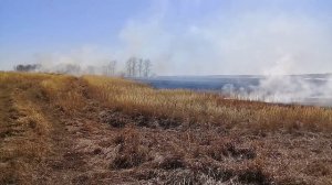 Весенние пожары, пал травы.