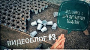 Пикировка томатов! #3