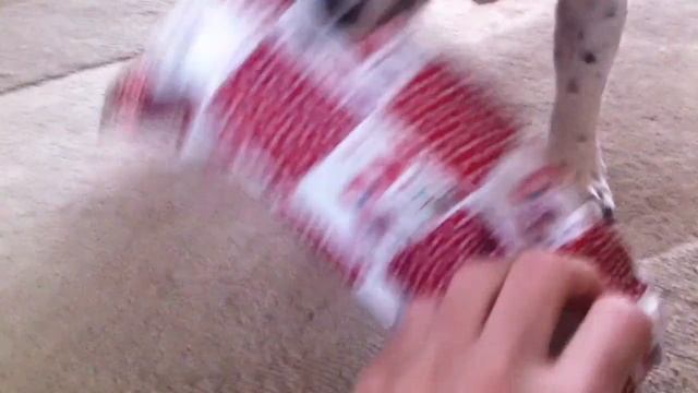 Eva Opens Her Christmas Present смотреть онлайн