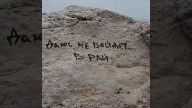 нашид 🔥