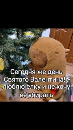 С Днём Святого Валентина!!!
