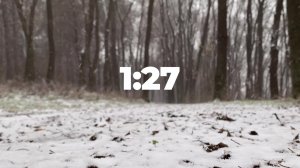 Субботнее богослужение - 15.02.2025