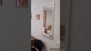 студия - стандарт