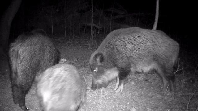 8 декабря 2019 г. смотреть онлайн