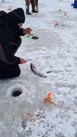 Ещё поимка!