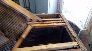 Погибла первая семья. Причина?