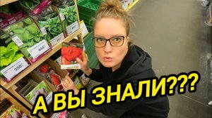 СНОВА МАГАЗИН ЛЕРУАШКА | КАРАУУУЛ спасаем перцы | Из города в деревню | Дом в деревне
