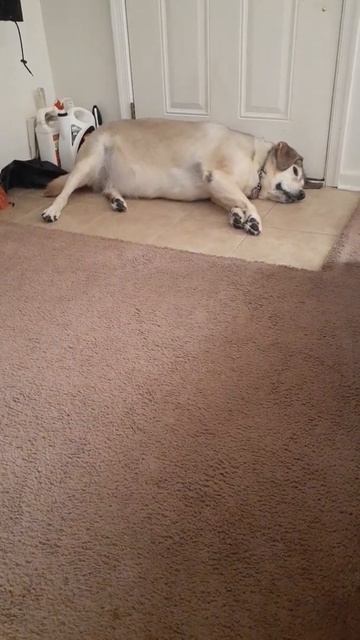 SAMSON'S BLOOD WORK CAME BACK GOOD SLIGHT ANOMALY THEY WILL CHECK LATER смотреть онлайн