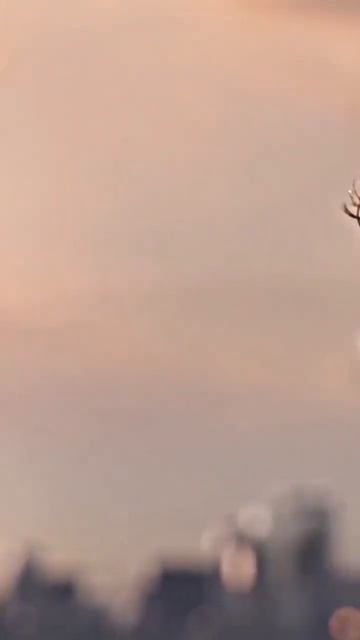 Питер❤️Эм-Джей смотреть онлайн