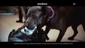 А можно без можно!