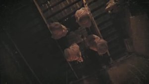 Даник
Страшные квесты