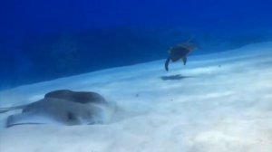 Красивая музыка. Vol 3.0  ОЧИЩЕНИЕ ОТ НЕГАТИВА  / Very beautiful music. Clear Negative