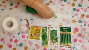 ЛУЧШИЙ СПОСОБ ПРОРАЩИВАНИЯ СЕМЯН ОГУРЦОВ!🥒