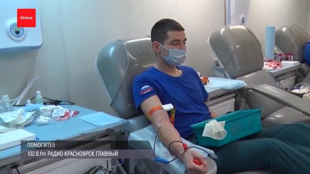 11 сурикатов живут в обычной многоэтажке нашего города смотреть онлайн