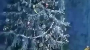 Щелкунчик «Союзмультфильм»