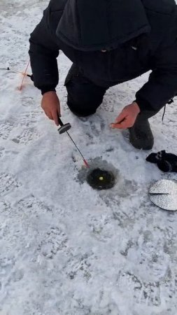 Очередная сработка поставушки на сырную пасту !