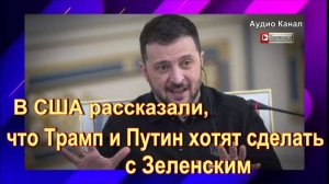 В США рассказали, что Трамп и Путин хотят сделать с Зеленским