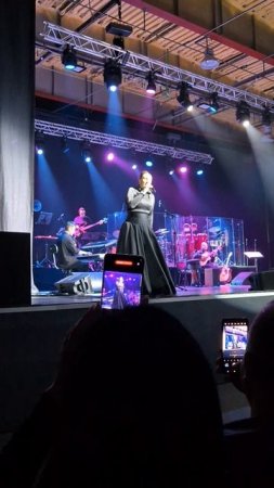"Редко поют красиво" - Елена Ваенга в Волгограде!