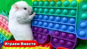 Интересный ЛАБИРИНТ С ХИТРЫМИ ЛОВУШКАМИ для хомяка ! Умный Хомяк ! Видео для детей