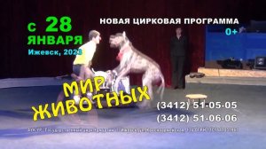 Рекламный ролик "Мир животных"