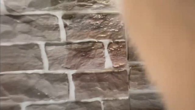 撮影中のiphoneにぶら下がって散歩へ行くハムスター【キンクマハムスターの日常】