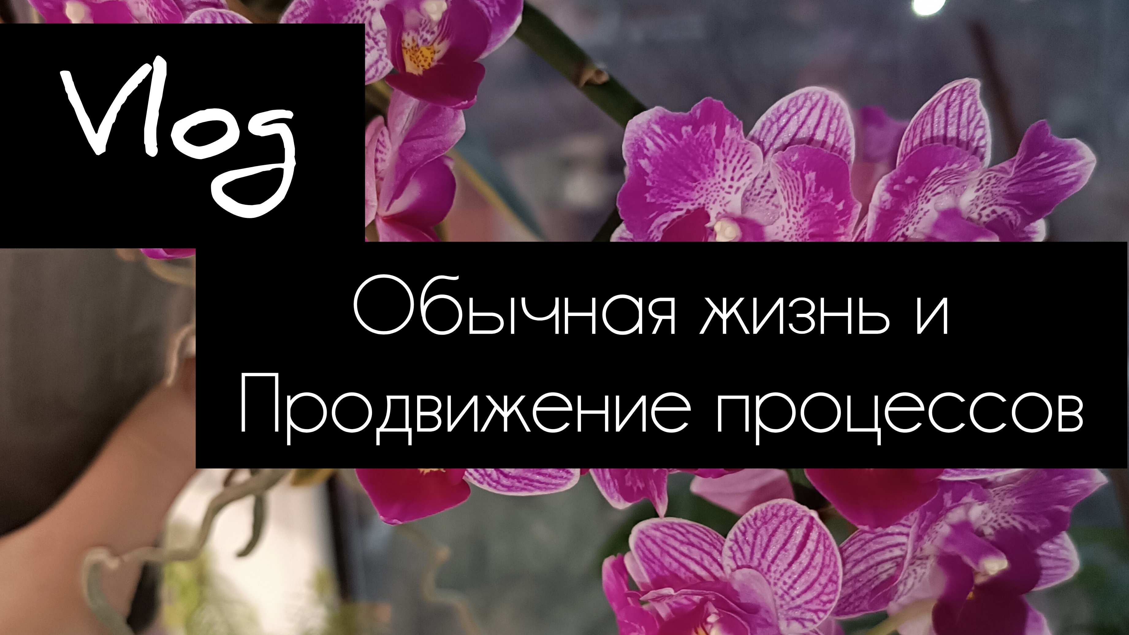 Дальнейших творческих успехов