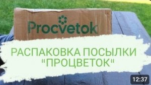 РАСПАКОВКА ПОСЫЛКИ ИЗ ИНТЕРНЕТ-МАГАЗИНА "ПРОЦВЕТОК" 23.09.2023г.