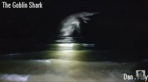 voices and sounds of trevor henderson creatures part 14