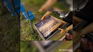 🖐Двухматочне содержание пчел в многокорпусных ульях🐝🐝росширяю🌻🌻🌻