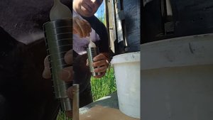 технопланктон для толстолобика своими руками.