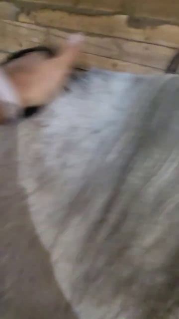 Супер щетка при линьки лошадей) смотреть онлайн