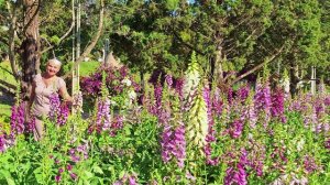 Вьетнам ДАЛАТ 2024