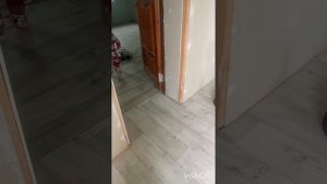 Нашли кошку) Клеим обои, стелим линолеум. Реконструкция дома с магазином часть 5