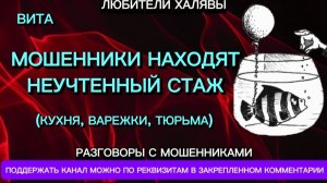 ВИТА. МОШЕННИКИ НАХОДЯТ НЕУЧТЕННЫЙ СТАЖ | ТЕЛЕФОННЫЕ МОШЕННИКИ
