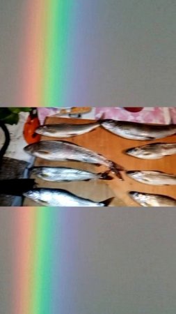 Осенняя рыбалка!🎣😎