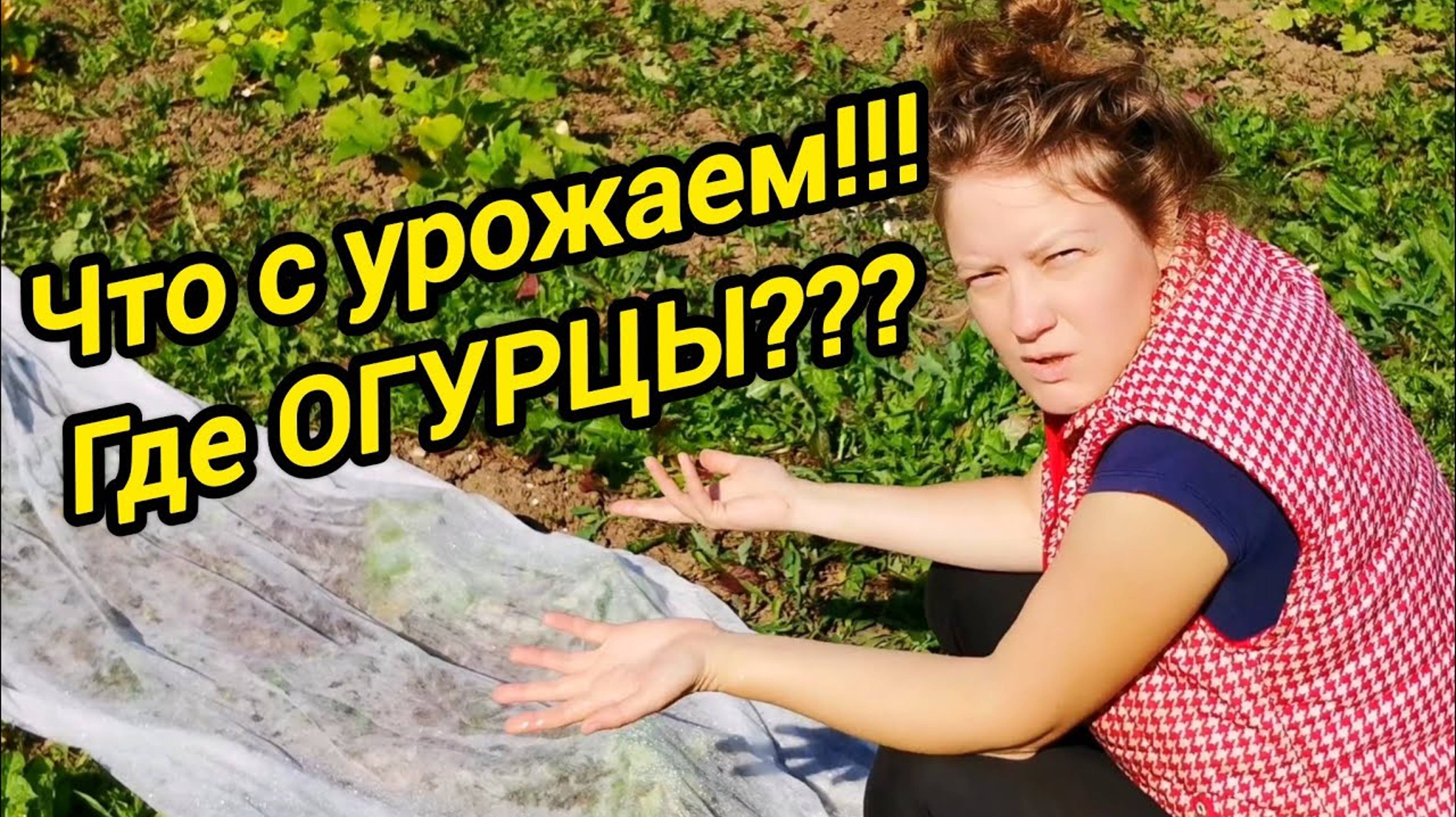 ОБЗОР ОГОРОДА | Жизнь в деревне | Дом в деревне | Семья в селе