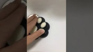 Ухаживаем за табо лапкой #табалапка