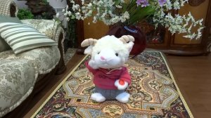 Поющая овечка