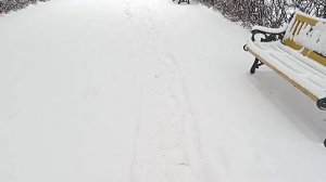 "А снег идёт а снег идёт". Тамбов 15.02.2025 г.