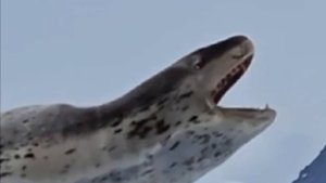 ТРУДНЕЕ ВСЕГО БОРОТЬСЯ С САМИМ СОБОЙ.