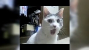 Монтажное видео 2