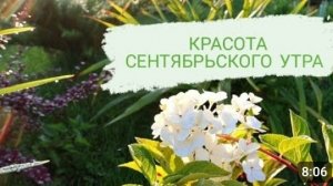 КРАСОТА СЕНТЯБРЬСКОГО УТРА. 13.09.2023г.
