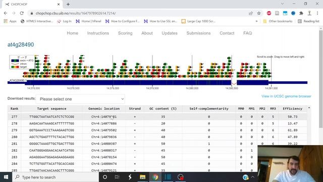CRISPR gRNA design for targeting efficient protospacers
