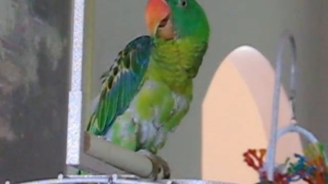 Savannah is a GOOD GIRL!! смотреть онлайн