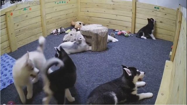 Вальс смотреть онлайн