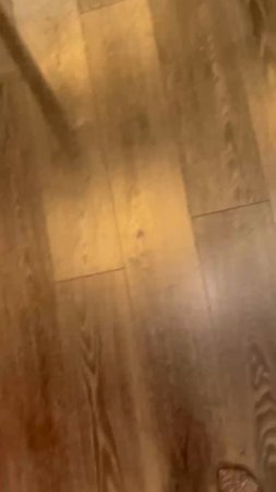 Exotic pole dance Каменская Наталья. Eden dance studio 15022025 (1)