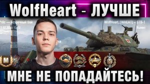 WolfHeart ★ ЛУЧШЕ МНЕ НЕ ПОПАДАЙТЕСЬ!