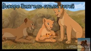 История Зингела