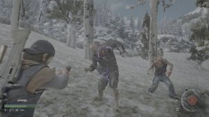 Days Gone: Баг в структуре